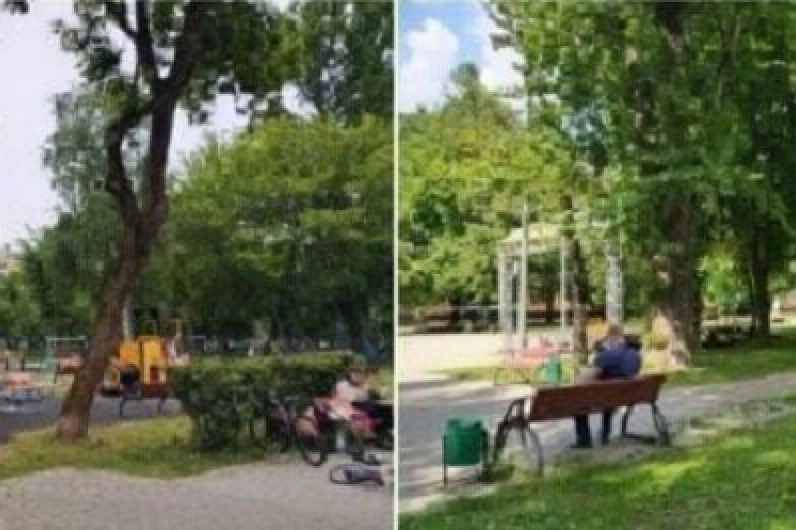 Мой маленький рай называется Синичкин сквер