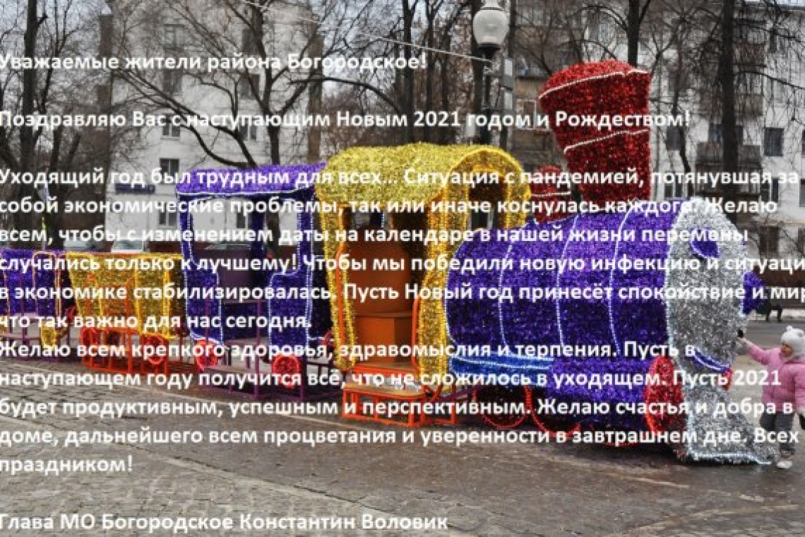Глава МО Богородское поздравил жителей района